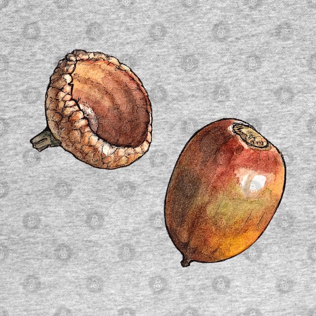 Acorn Watercolor Botanical Illustration by AquarellChill